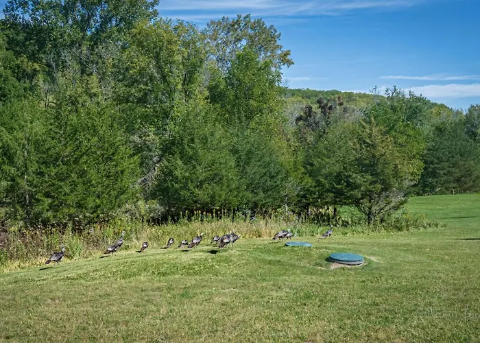 Summer In - Hot Tub, Fire Pit & Views Holiday home Galena